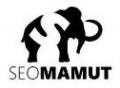 Seomamut - Tworzenie i pozycjonowanie stron internetowych
