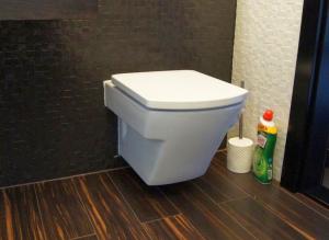 DM KANWOD Dawid Małek