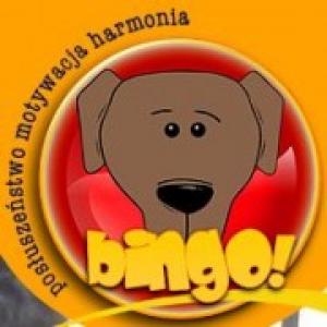 BINGO! Szkolenie psów Łukasz Wacławski