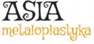 ASIA Metaloplastyka Piotr Tylenda