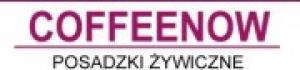 COFFEENOW Szczepan Wieczorek