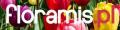 Floramis