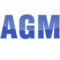Przedsiębiorstwo Konsultingowe AGM