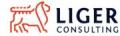 Liger Consulting sp. z o.o.